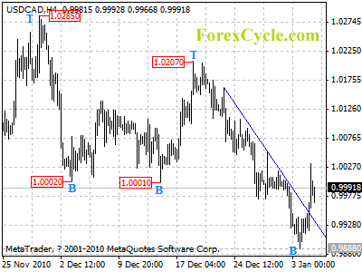 20110105_usdcad_1